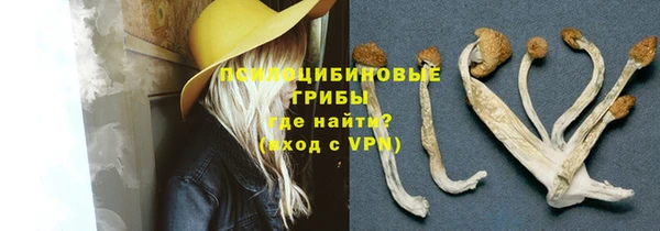 мяу мяу мука Алексин