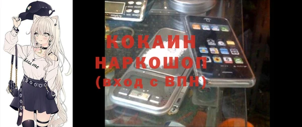 индика Няндома