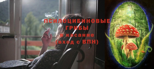 эйфоретик Абинск