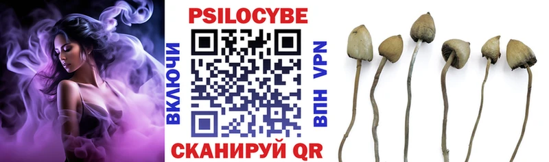 shop клад  Сураж  Галлюциногенные грибы прущие грибы 